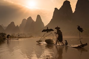 Dying Art Of Chinese Cormorant Fishing In Pictures World News The Guardian
