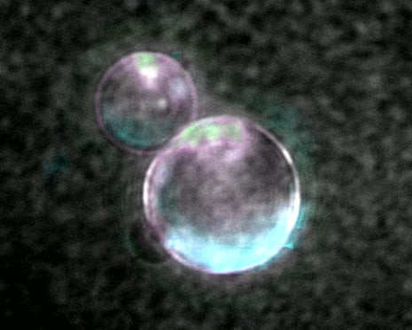 Two translucent bubbles with iridescent rainbow reflections float against a dark blurred background