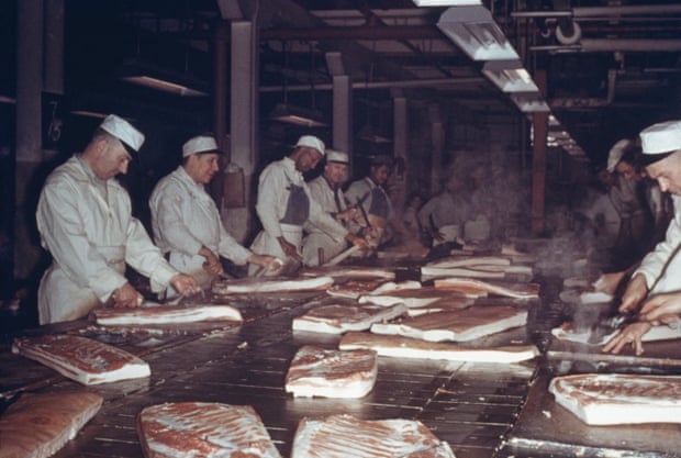 Meatpacking plants were once concentrated in cities, like this plant in 1955 in Chicago, Illinois.