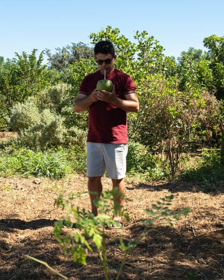 A middle-aged man drinks from a coconut in a cultivated plot of land with trees behind him
