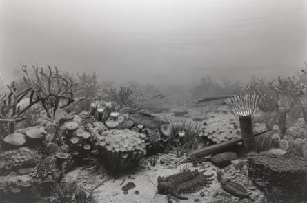 An apparent photograph of a coral reef in black and white but with primitive molluscs and trilobites instead of fish