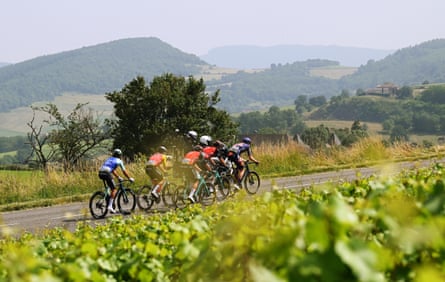 Riders pass through a landscape of vineyards