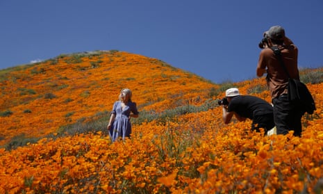 A model poses among orange wildflowers in bloom