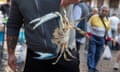 A blue crab being held up by a man