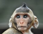Research Explores How Animals Experience Time Differently