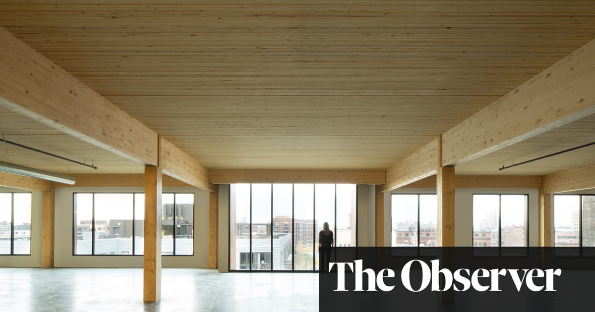 Why Wood Is Back At The Top Of Tree For Architects Art And