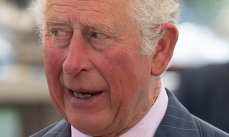 Prince Diceplyn Sex Vidios - Prince Charles advises people recovering from Covid to practise yoga | King  Charles III | The Guardian