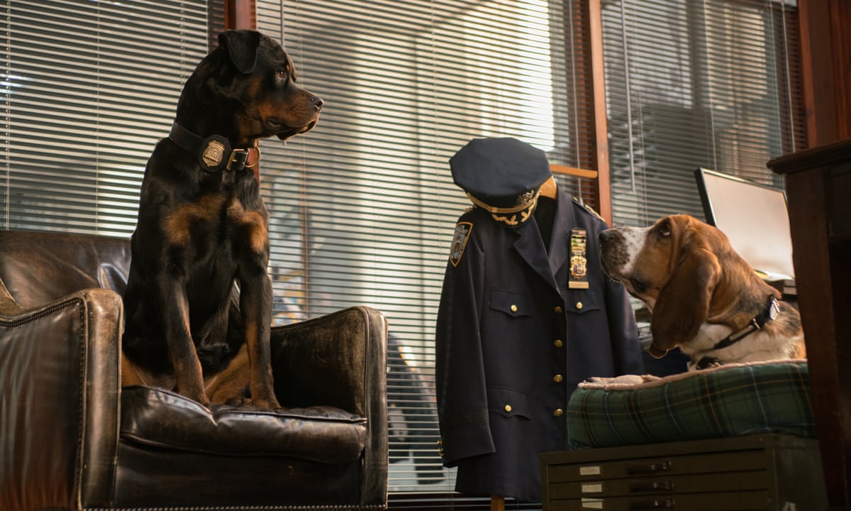 Show Dogs recut to snip 'inappropriate' rottweiler groping scenes | Family  films | The Guardian