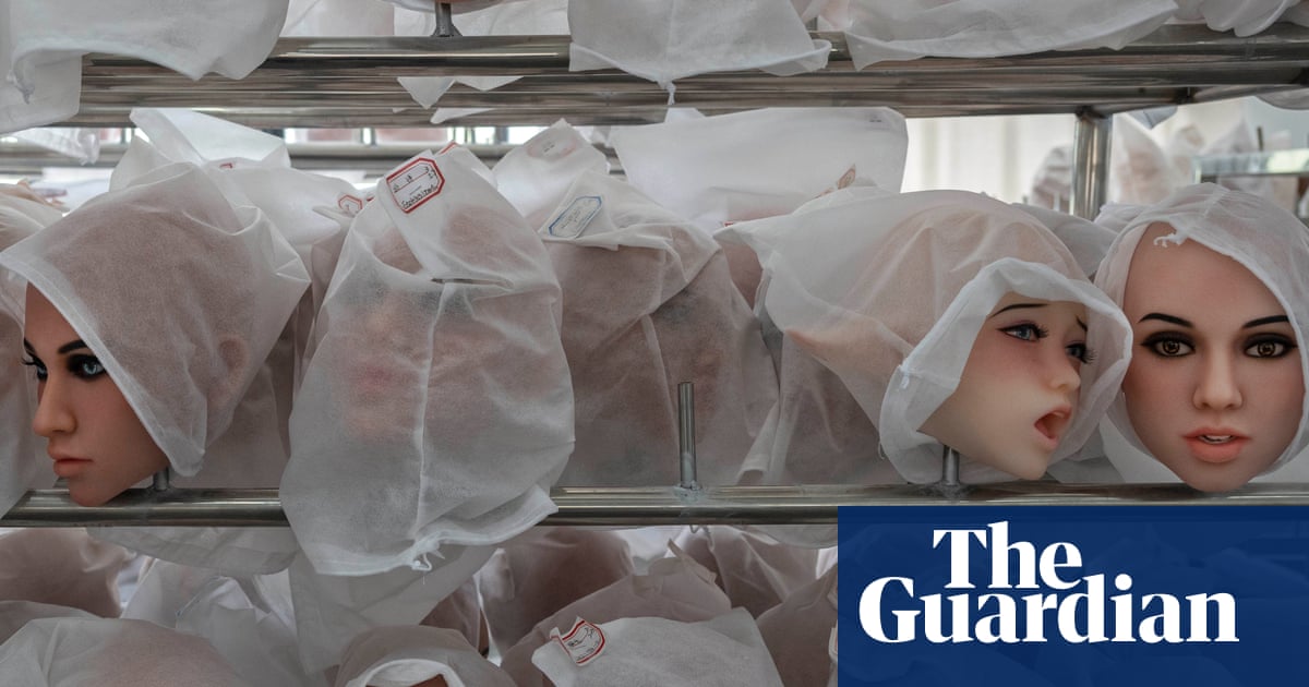 A ‘body’ found in a suitcase was actually a sex doll. How did NSW police get it so wrong?