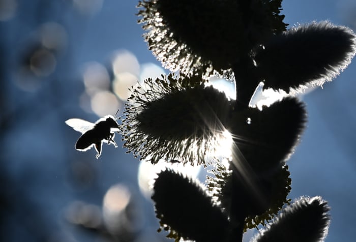 foto-van-de-maand-maart-2021-bij