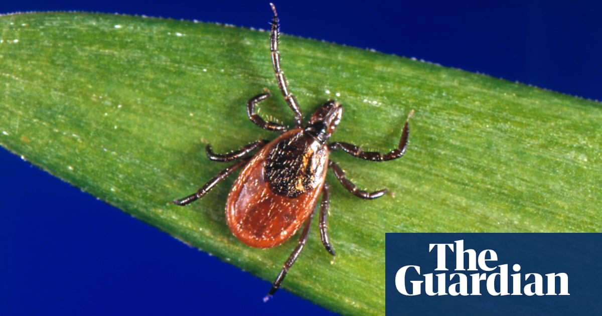 What Should You Do If You Re Bitten By A Tick Life And Style