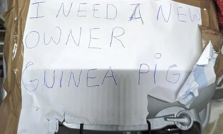 A torn piece of paper with a handwritten message reading: ‘I need a new owner’