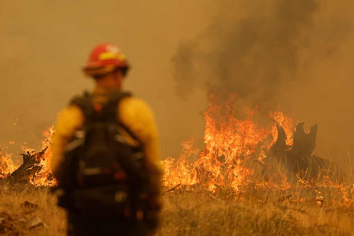 A firefighter monitors flames near Paynes Creek, California, on 28 July 2024.