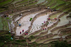 Aerial photograph of the farmers working on different levels of a landscape that rises in steps