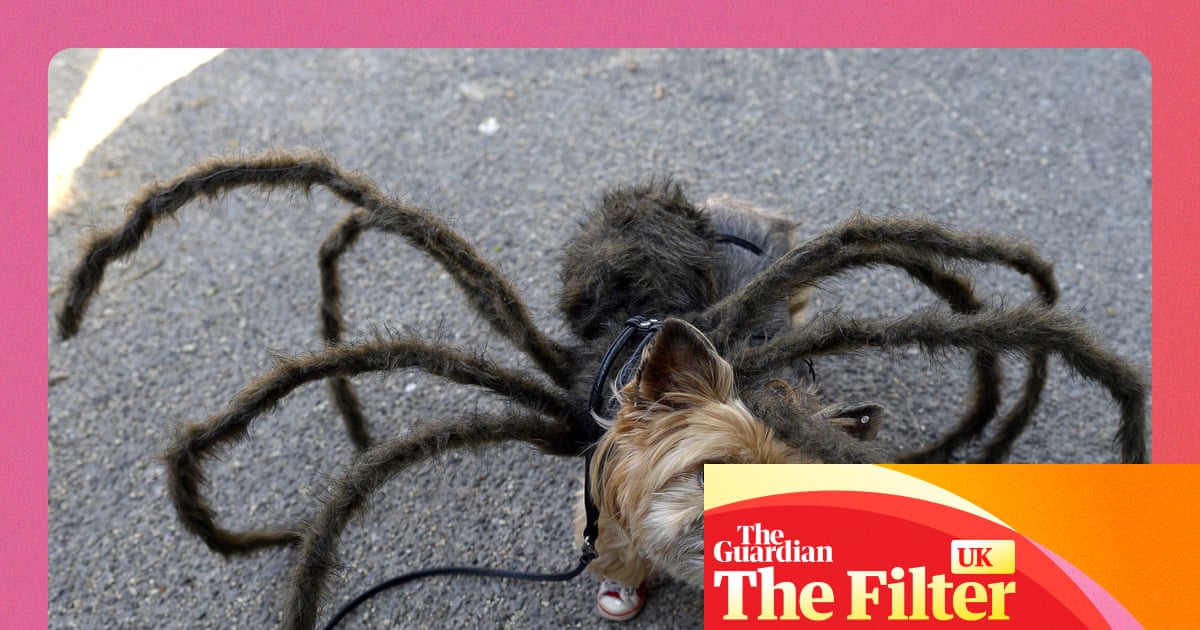 ‘It’s the last Halloween of my 30s and I want to show off my bod’: your favourite DIY costumes