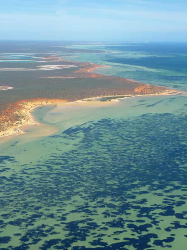 aerial view of Shark Bay