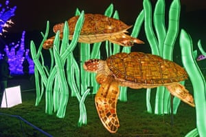 Turtle lanterns at the National Museum of Natural History in Paris, France