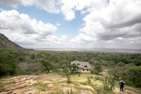 A panoramic view of African savanna