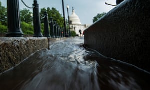 More trees and plants will help to soak up stormwater from heavy downpours.