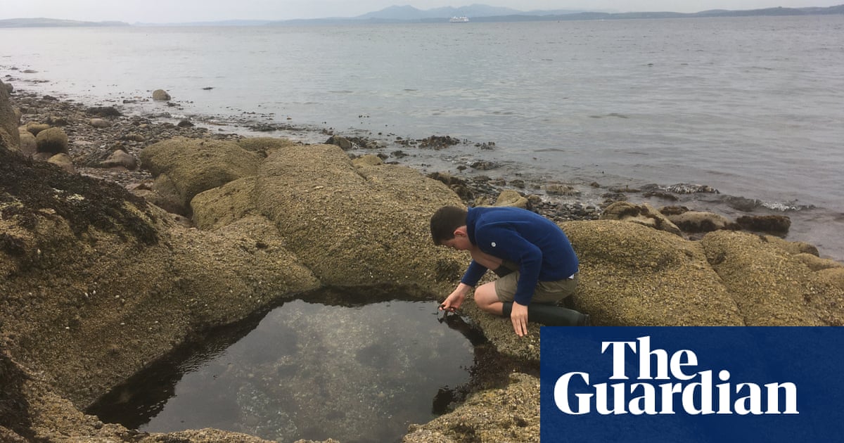 Young country diary: I found the strangest thing in a rockpool