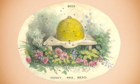A hand-coloured lithograph illustrates the benefits of keeping bees (circa 1840). 