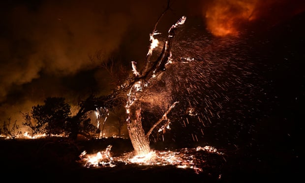 A fierce heat wave in California has caused wildfires.