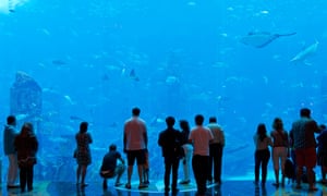 Aquarium in Dubai