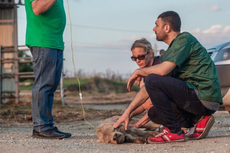Lesley Moffat and a vet, Ibrahim Sarigöz, examine a calf.