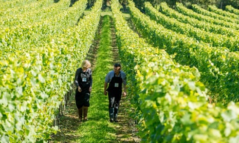 Wine producers Augusta and Robert Raimes in the Raimes vineyards in Hampshire.