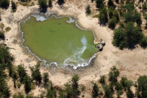 Many elephants have died mysteriously in the Okavango delta in Botswana.