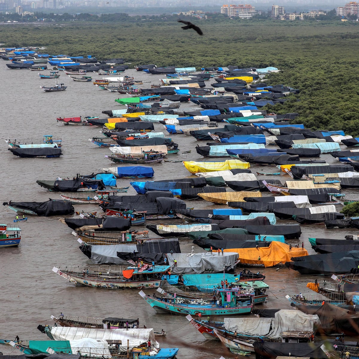 Crossword roundup: Hindi word; indie crossword | Crosswords ...