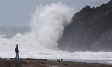 Man with dogs walks on beach as waves crash nearby