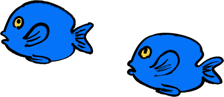 Fish illustrations