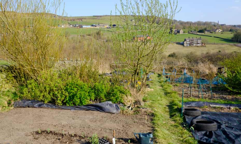 The allotment.
