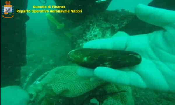An Italian police diver with a date mussel illegally fished off Capri's Faraglioni rocks.