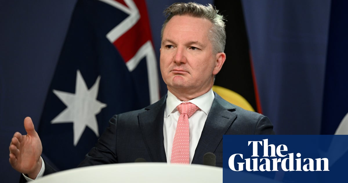 Unclear when electricity market suspension will end as Chris Bowen backs ‘extreme’ intervention