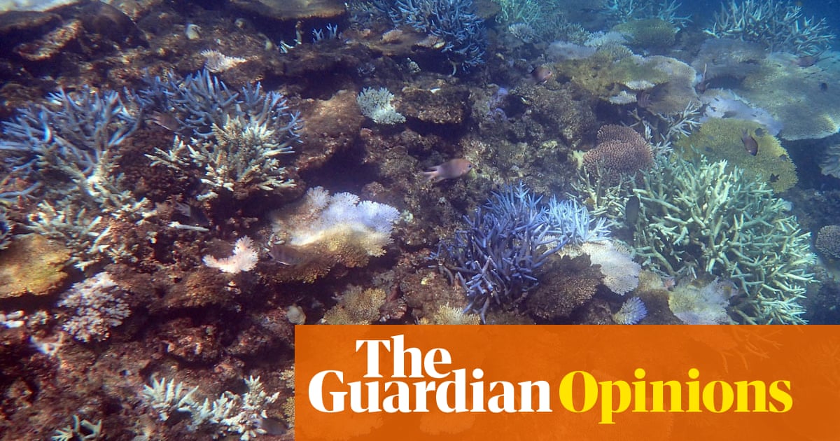 Our leaders are ignoring global warming to the point of criminal negligence. It's unforgivable | Tim Winton