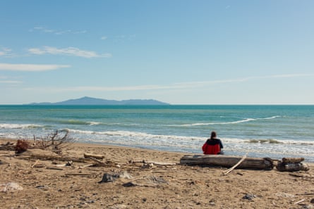 A beach with driftwood and a woman sitting on a log, with an island on the horizon