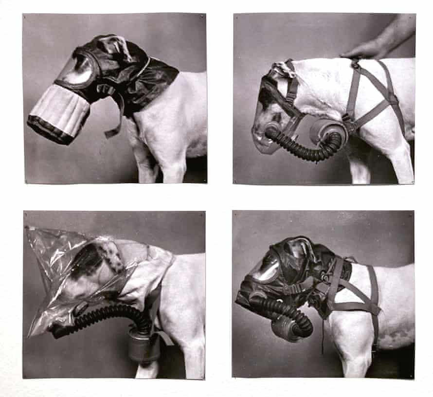 Dari Transformers, oleh Marta Bogdanska