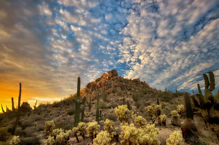 Target shooting in the Sonoran Desert national monument in Arizona is controversial.