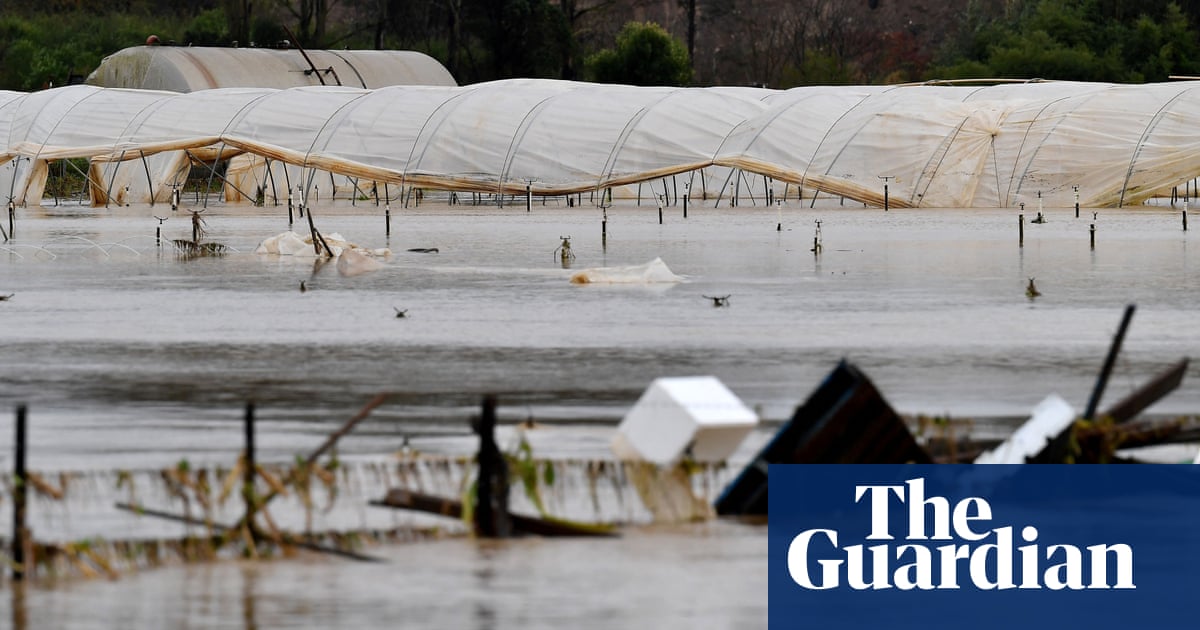 Devastated farmers say latest NSW floods likely to raise fruit and vegetable prices further