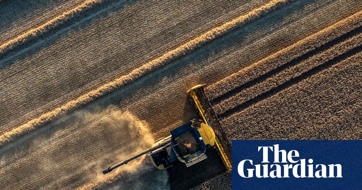 Europe’s heatwave in June cost grain farmers €2bn in lost revenue and crop damage