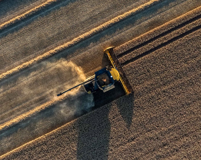 Europe’s heatwave in June cost grain farmers €2bn in lost revenue and crop damage