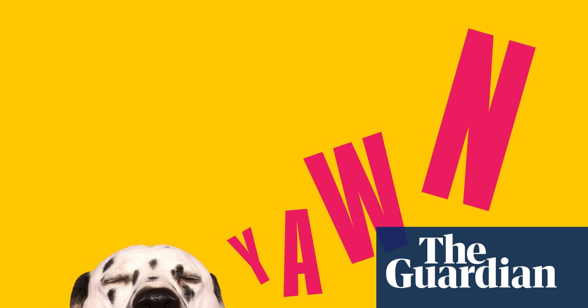 13 surprising reasons you’re always dog tired – and what to do about it