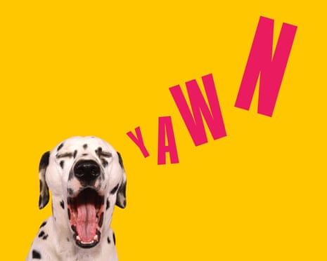 A dalmatian yawning, tongue out, against a bright yellow background with 'YAWN' in pink text