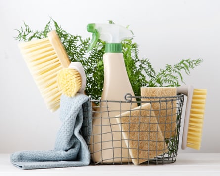 Eco brushes, sponges and rag in cleaning basket.