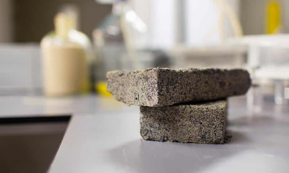Urine bricks created by students at the University of Cape Town.