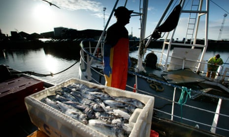 Kevin West, skipper of the Ryanwood fishing boat unloads his catch of mostly haddock at the Peterhead fishmarket, Scotland