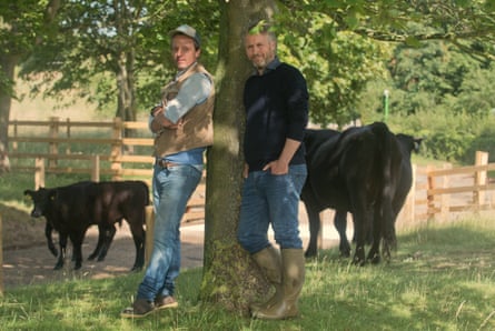 Hugh Crossley, left, with Argus Hardy and couple of cows a cald under a treee on the Somerleyton estate in Suffolk.