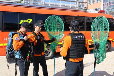 Rescue workers prepare to capture a wolf that escaped from a zoo in Daejeon on April 8, 2026.